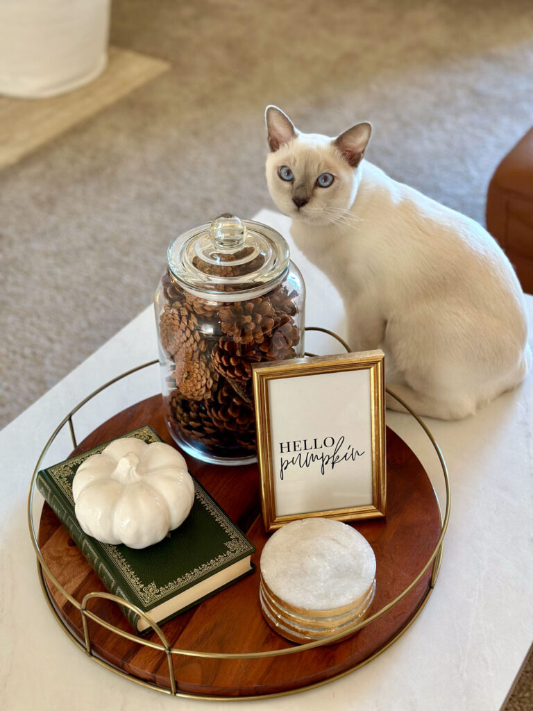 White cat sitting next to a minimalist fall tray display with a white pumpkin, pinecones in a glass jar, gold-framed fall print, and marble coasters.