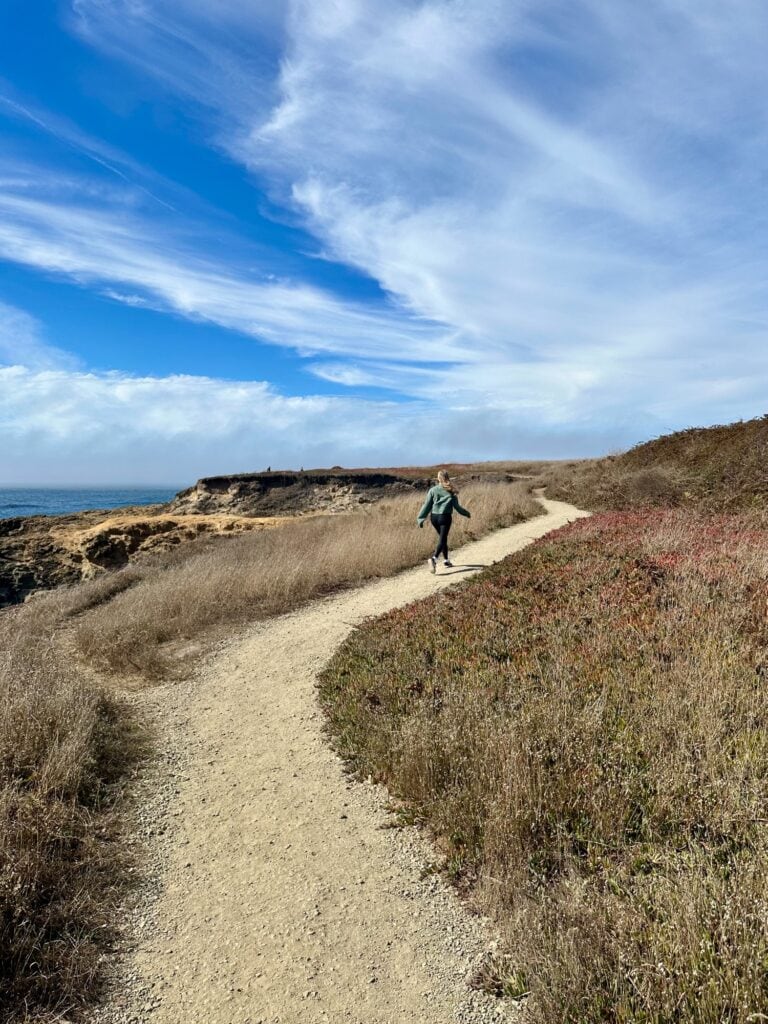 Hiker on a bluff trail overlooking the Pacific Ocean in Mendocino Headlands State Park