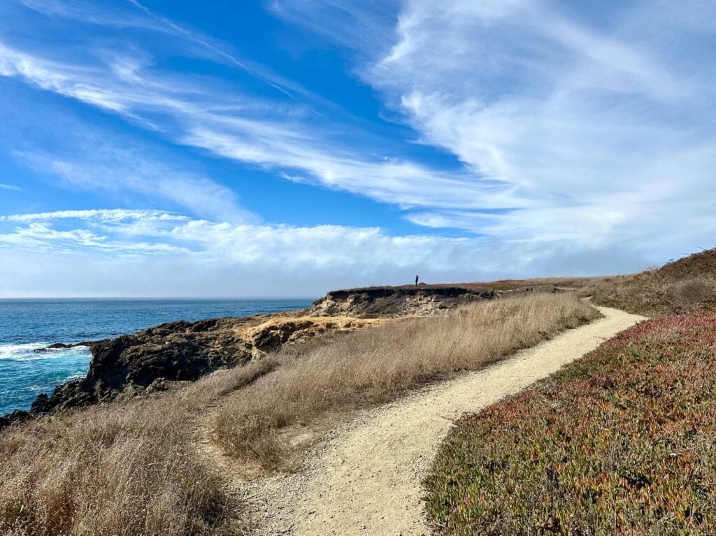 Trail through dry grasses with ocean views and expansive blue sky in Mendocino