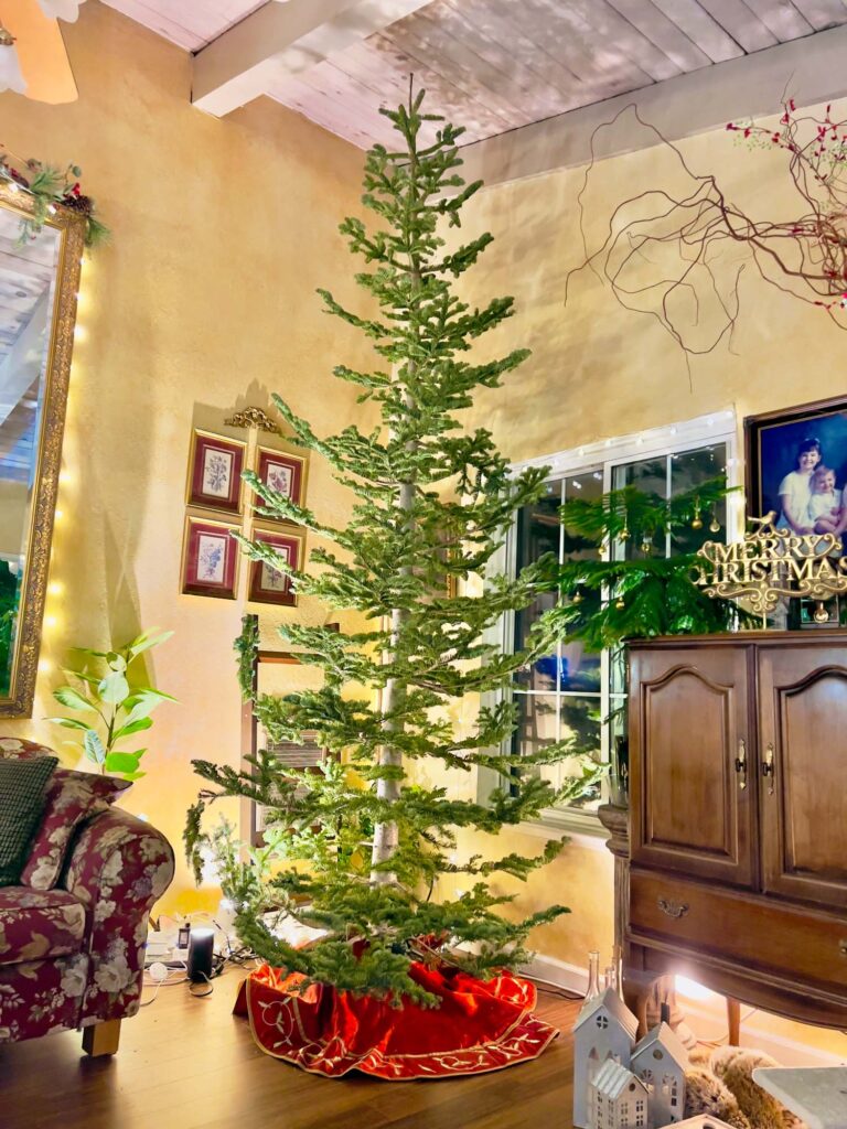 Undecorated Silvertip Christmas tree on stand in cozy living room