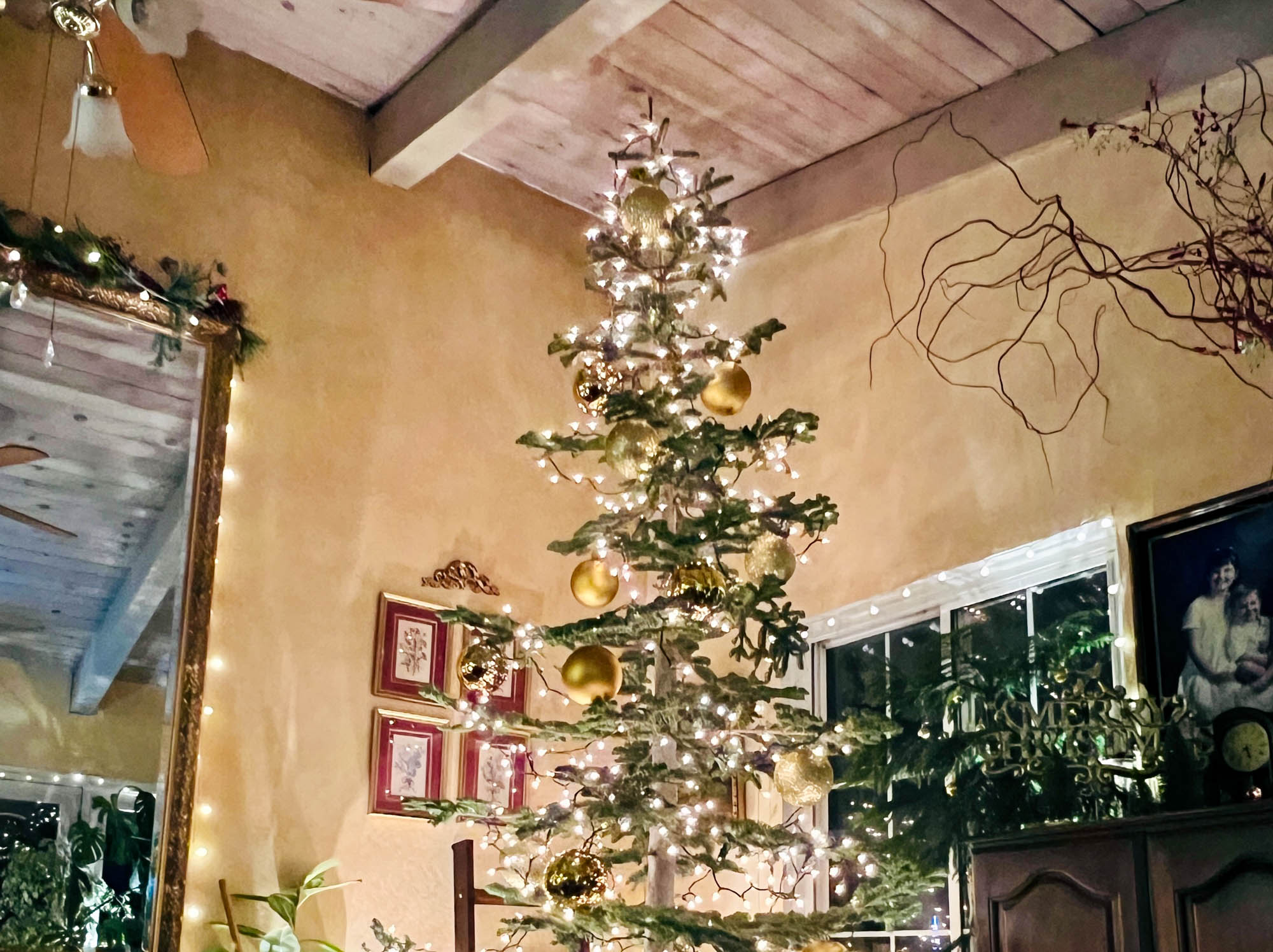 Branching Out to a Silvertip Christmas Tree: Decorating Tips & Tricks