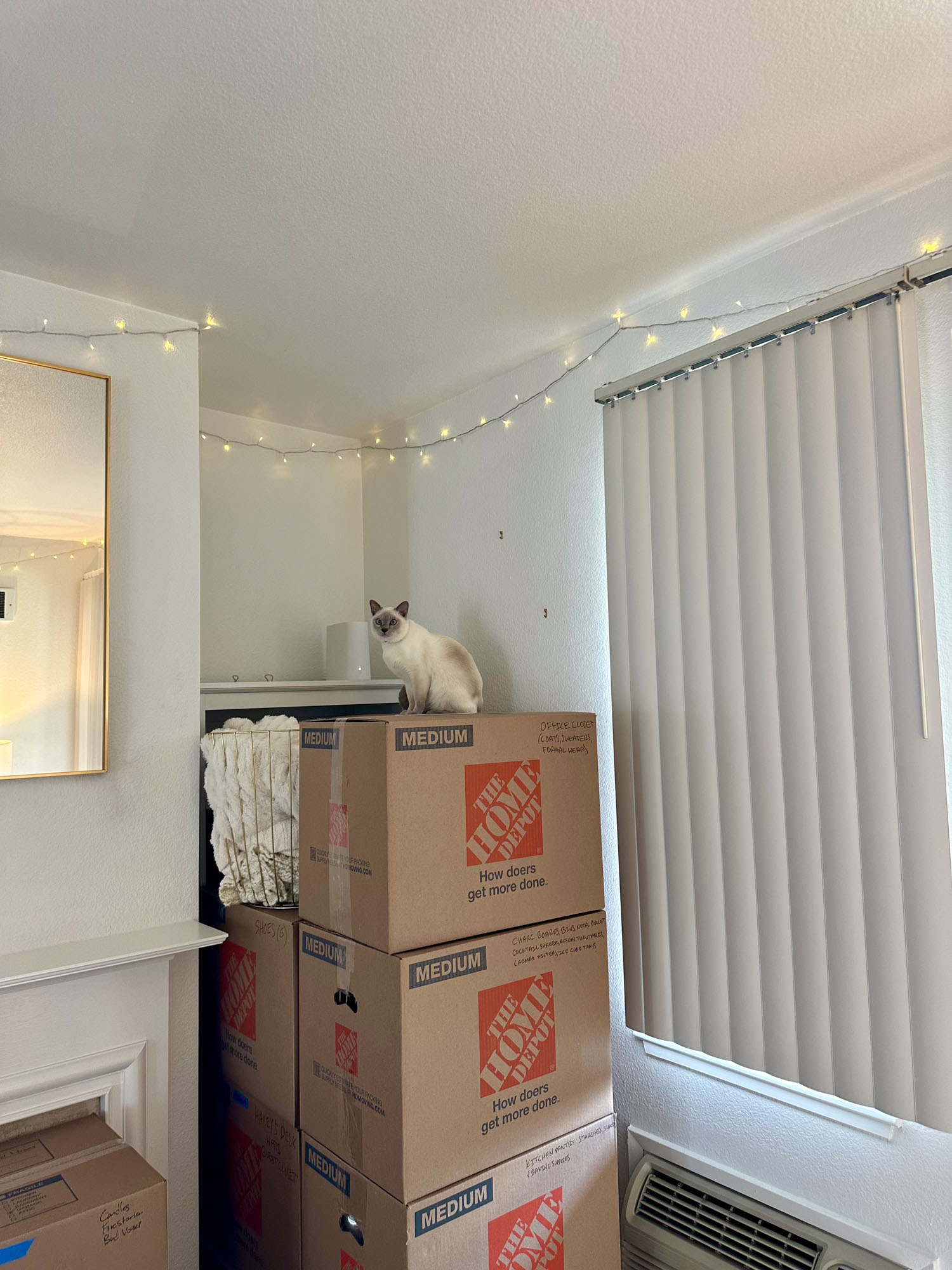 The Ultimate Moving Out Checklist & Tips for Staying Organized