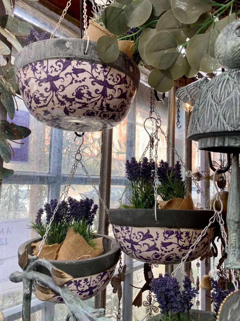 Hanging planters with lavender and patterned pots inside a shop window in Half Moon Bay.