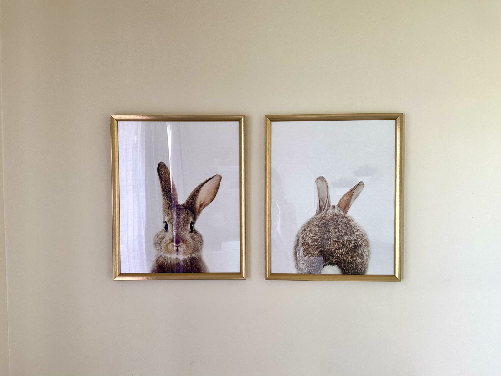 Two framed bunny prints showing a rabbit portrait and rabbit tail illustration on nursery wall.
