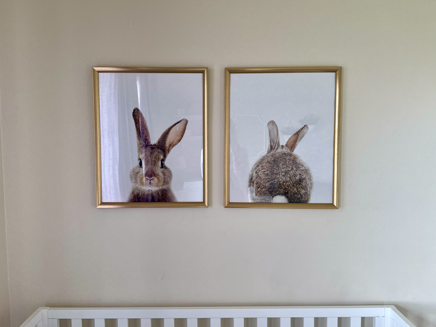 Bunny nursery decor with framed rabbit prints above a white crib.