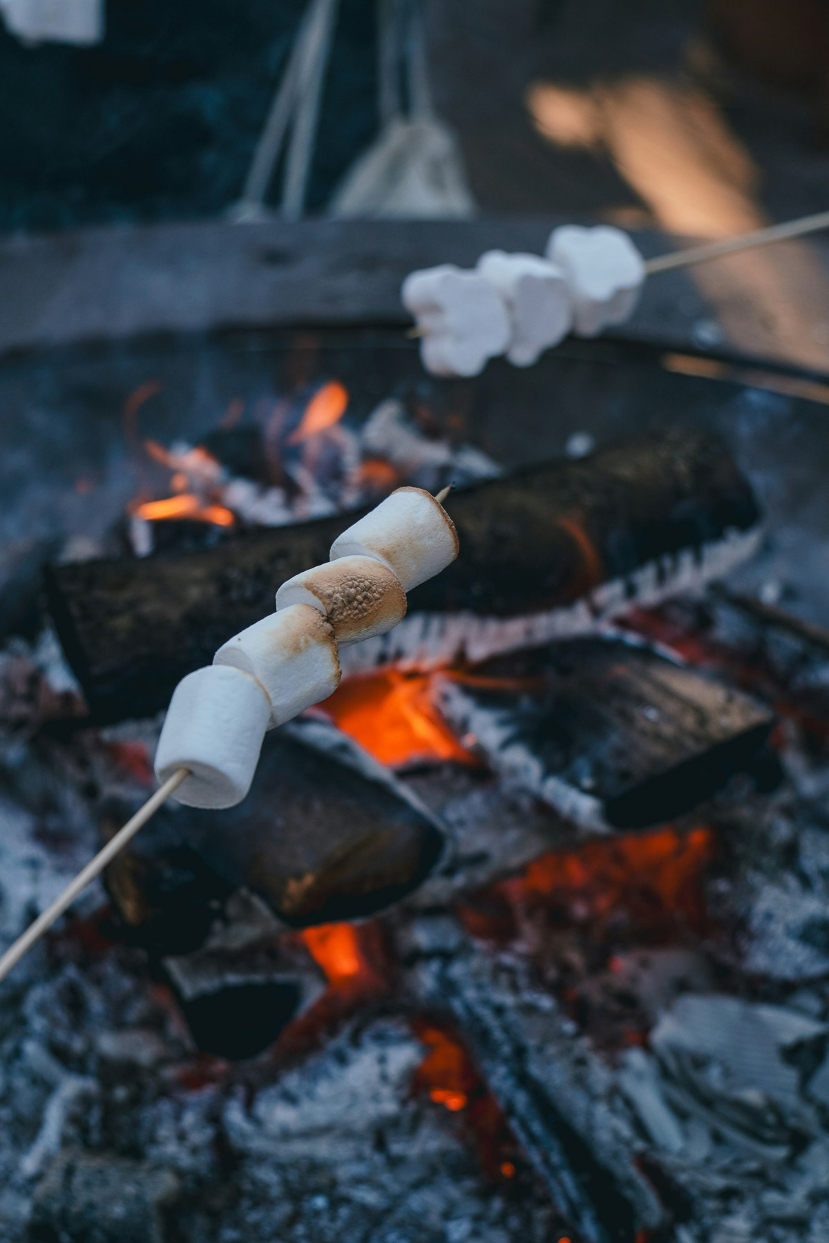 Fluffy white marshmallows roasting on wooden skewers over a crackling wood fire pit.
