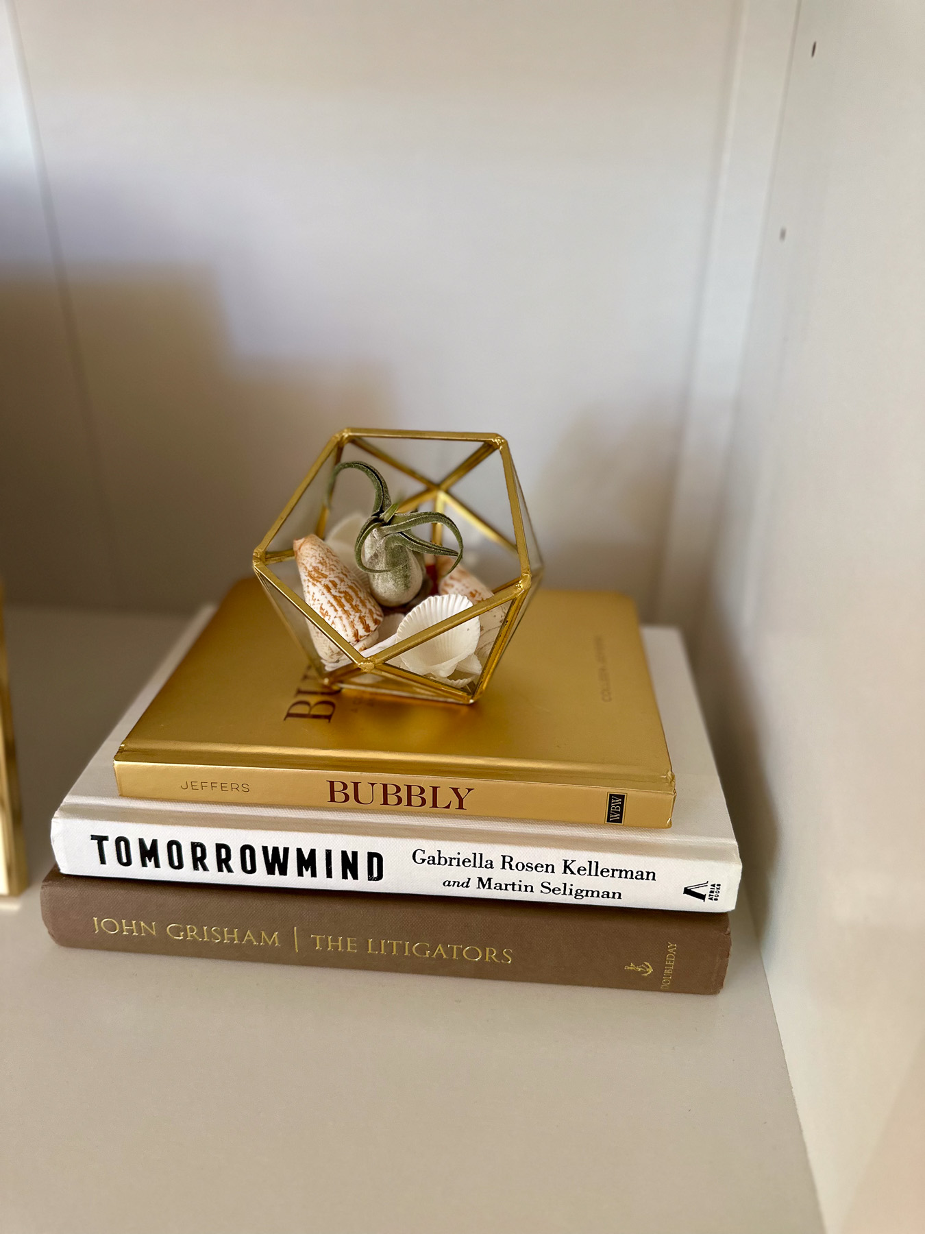 A gold geometric glass terrarium holding an air plant and small seashells, resting on a stack of three books on a white shelf.
